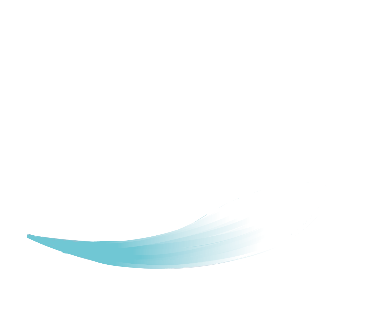 Aqua Experience Praia Logo
